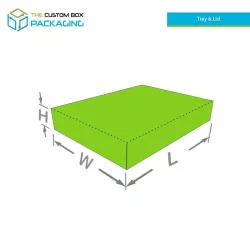 Tray & Lid